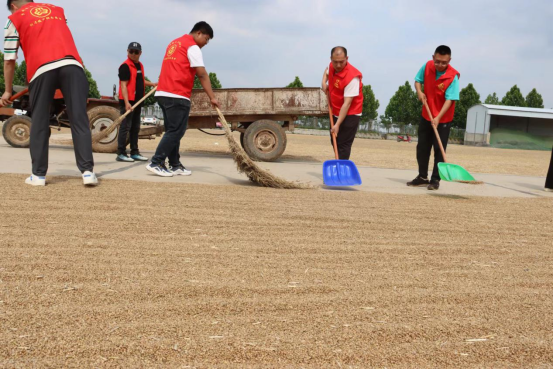 6.2展現(xiàn)國企責(zé)任擔(dān)當(dāng) 全力助民搶收夏糧(新聞稿)206.png 6.2展現(xiàn)國企責(zé)任擔(dān)當(dāng) 全力助民搶收夏糧(新聞稿)206.png